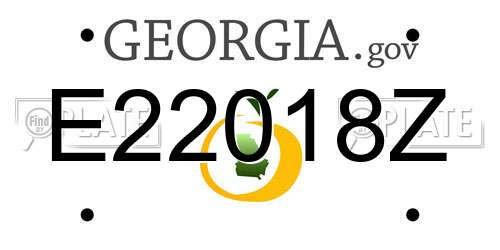 E22018Z Georgia License Plate