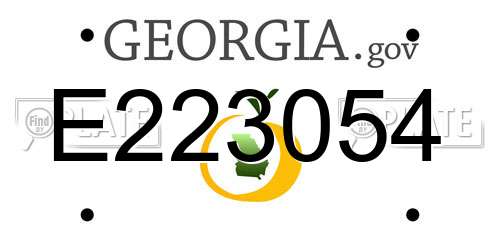 E223054 Georgia License Plate