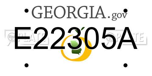 E22305A Georgia License Plate