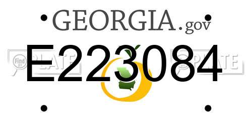 E223084 Georgia License Plate