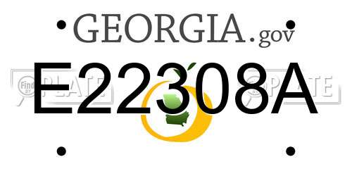 E22308A Georgia License Plate