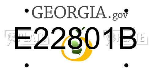 E22801B Georgia License Plate