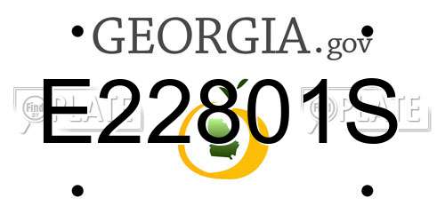 E22801S Georgia License Plate