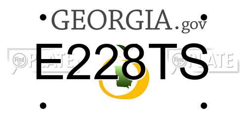 E228TS Georgia License Plate
