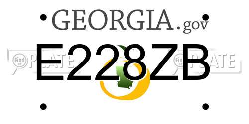 E228ZB Georgia License Plate