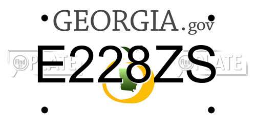 E228ZS Georgia License Plate