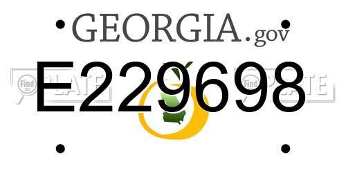 E229698 Georgia License Plate