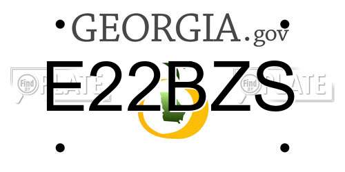E22BZS Georgia License Plate
