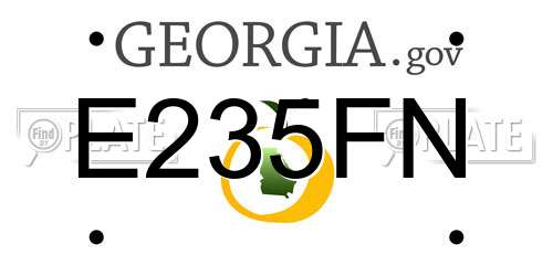 E235FN Georgia License Plate