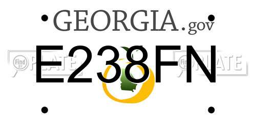 E238FN Georgia License Plate