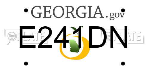 E241DN Georgia License Plate