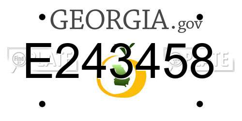E243458 Georgia License Plate