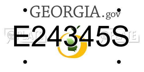 E24345S Georgia License Plate