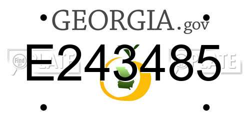 E243485 Georgia License Plate