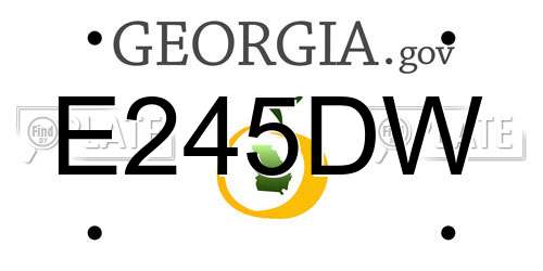 E245DW Georgia License Plate