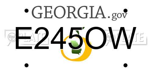 E245OW Georgia License Plate