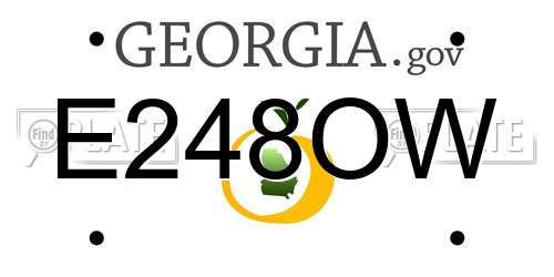 E248OW Georgia License Plate