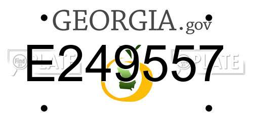 E249557 Georgia License Plate