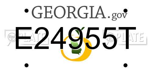 E24955T Georgia License Plate
