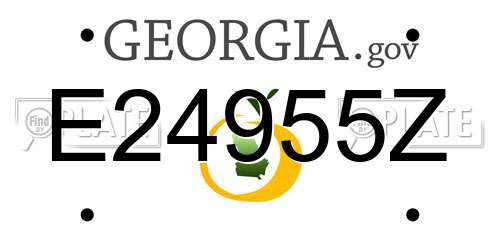 E24955Z Georgia License Plate