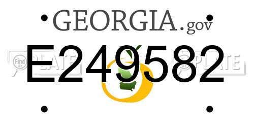 E249582 Georgia License Plate