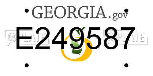E249587 Georgia License Plate