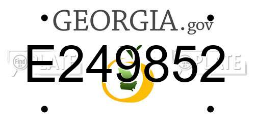 E249852 Georgia License Plate