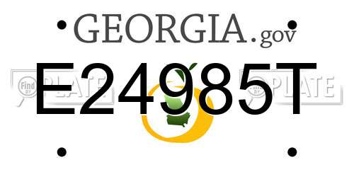 E24985T Georgia License Plate
