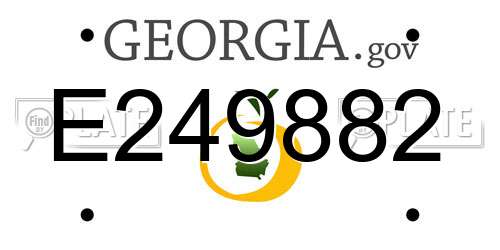 E249882 Georgia License Plate