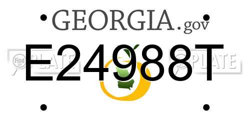 E24988T Georgia License Plate