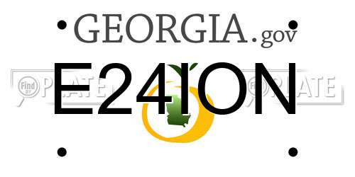 E24ION Georgia License Plate