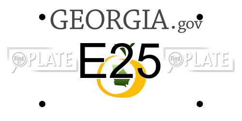 E25 Georgia License Plate