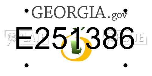E251386 Georgia License Plate