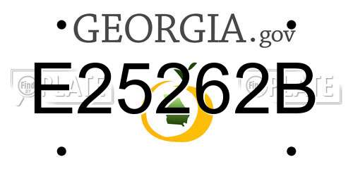 E25262B Georgia License Plate