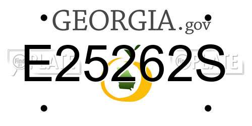 E25262S Georgia License Plate