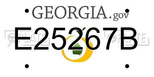 E25267B Georgia License Plate