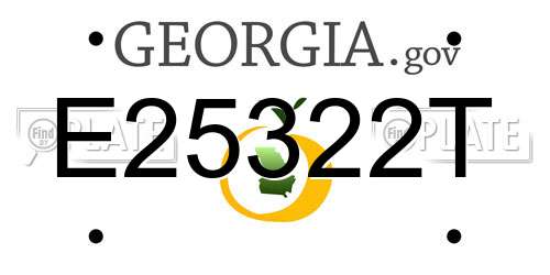 E25322T Georgia License Plate