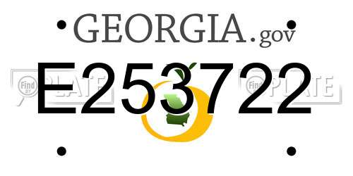 E253722 Georgia License Plate