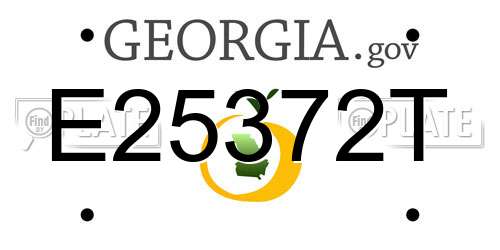 E25372T Georgia License Plate