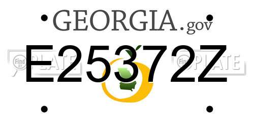 E25372Z Georgia License Plate