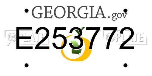 E253772 Georgia License Plate