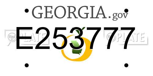 E253777 Georgia License Plate