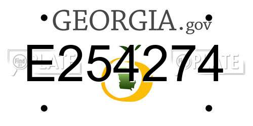 E254274 Georgia License Plate