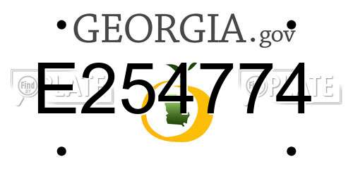 E254774 Georgia License Plate