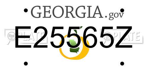 E25565Z Georgia License Plate
