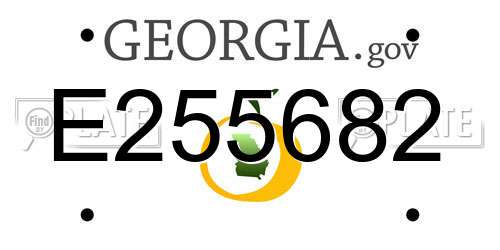 E255682 Georgia License Plate