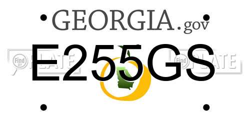 E255GS Georgia License Plate