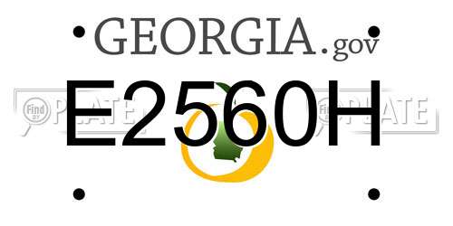 E2560H Georgia License Plate