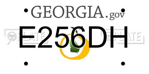 E256DH Georgia License Plate