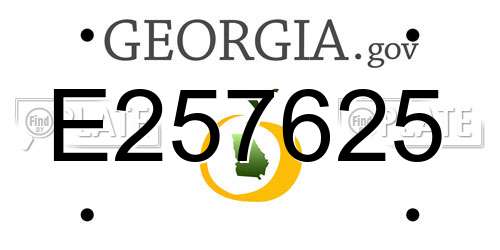 E257625 Georgia License Plate